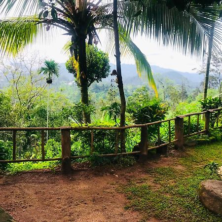 The 1964 Holiday Bungalow เอลลา ภายนอก รูปภาพ