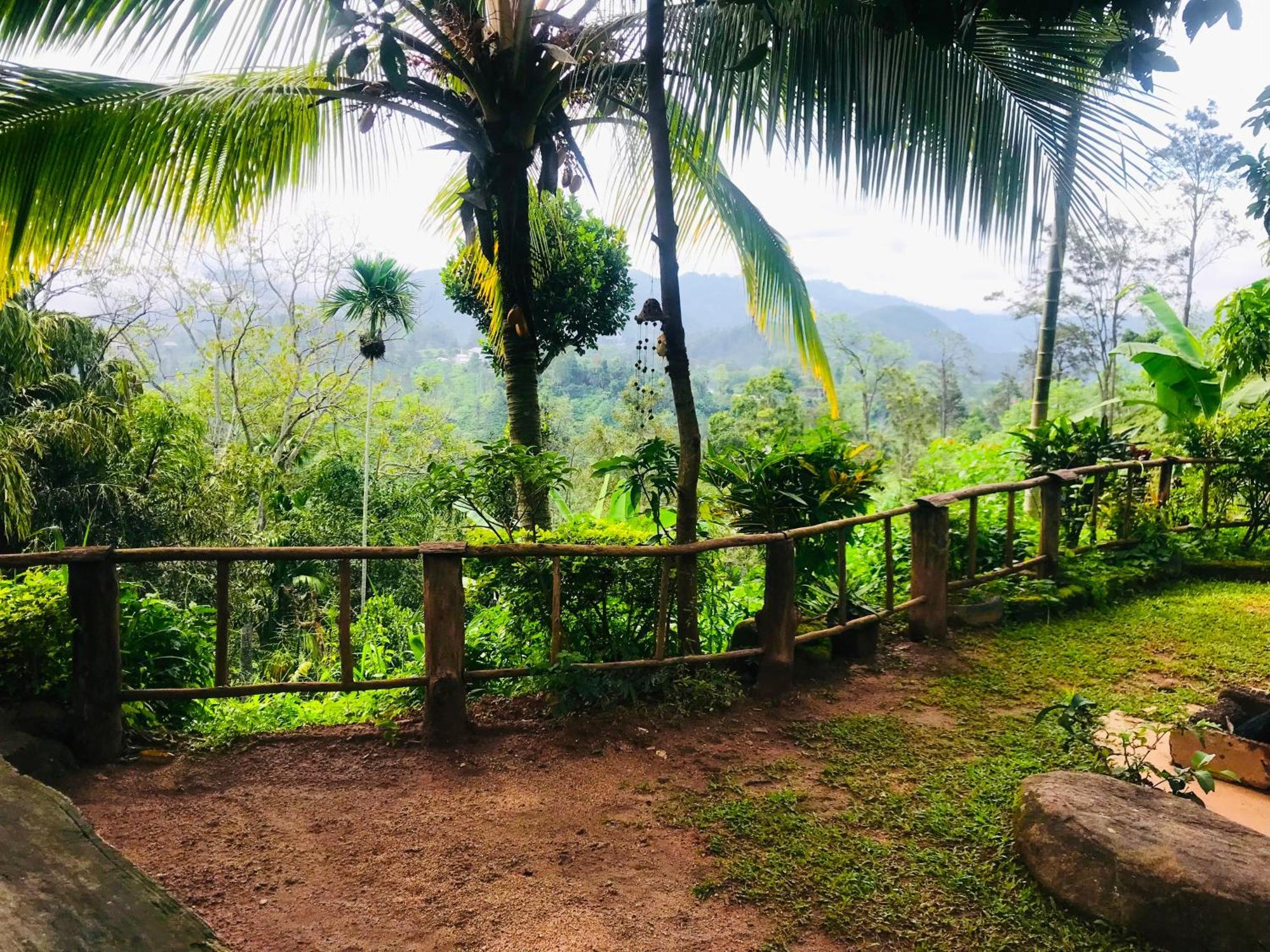 The 1964 Holiday Bungalow เอลลา ภายนอก รูปภาพ